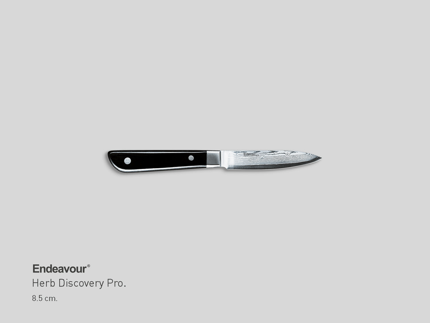Herb | Discovery Pro.