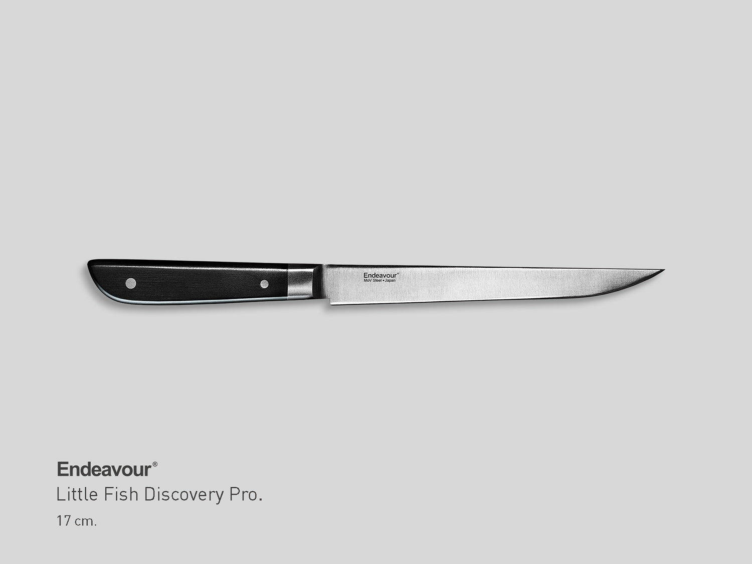Little Fish | Discovery Pro.