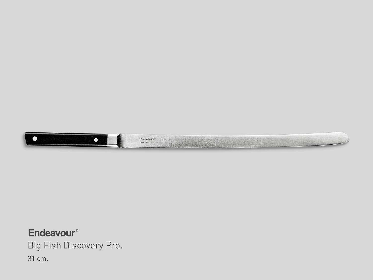 Big Fish | Discovery Pro.
